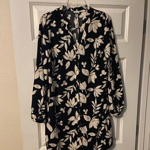 Long sleeve, button down shirt dress